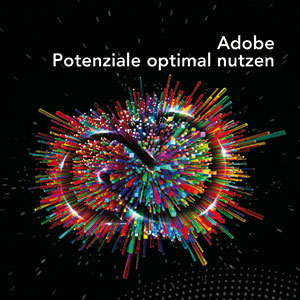 Adobe CS6 20-Seiter SoftwareOne